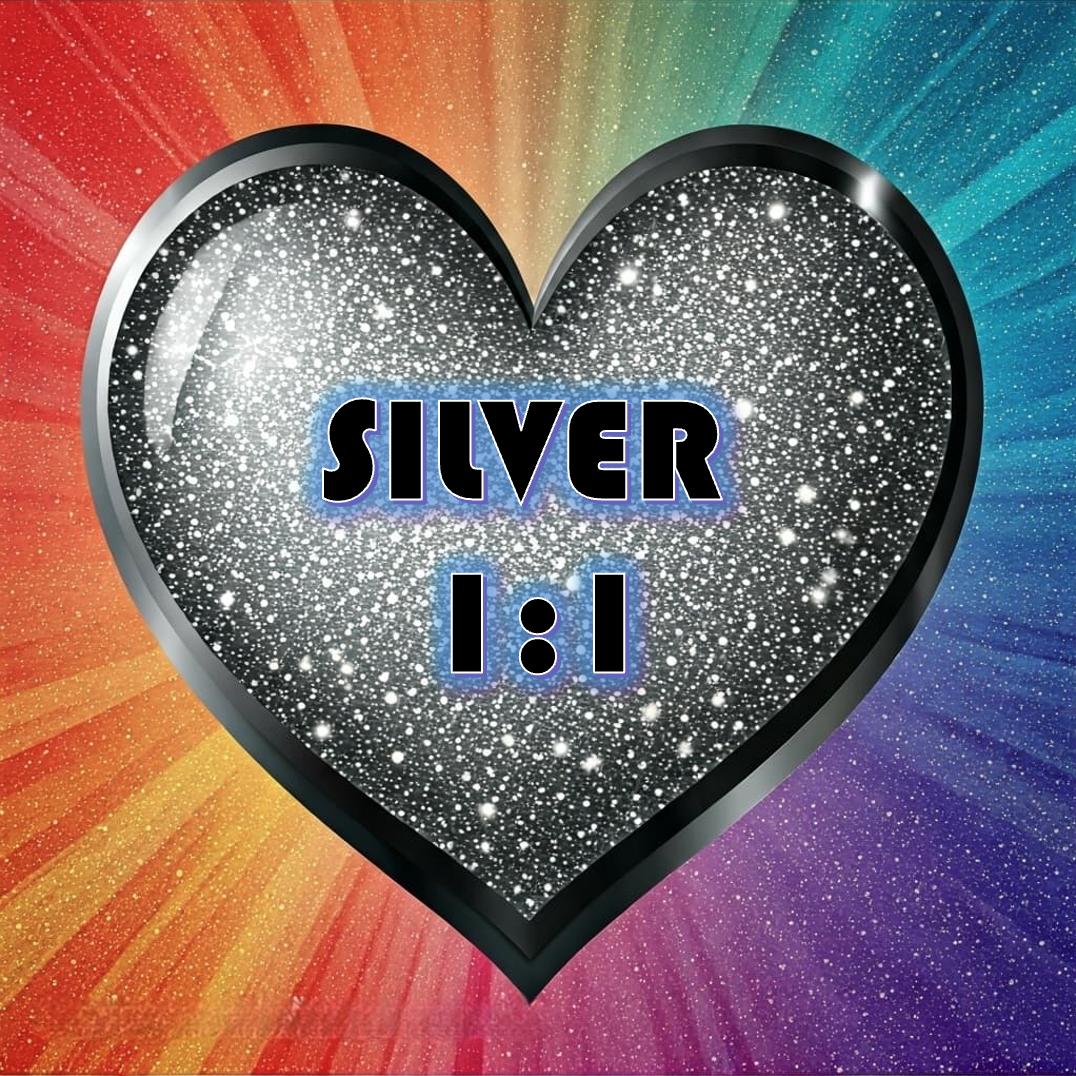 The SILVER Package 1 on 1